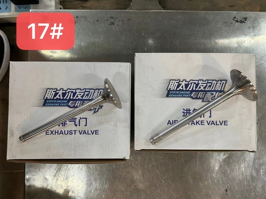 612600050025 Van xả khí Weichai WP10 Phân bộ động cơ diesel