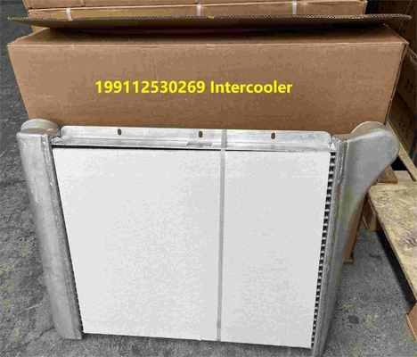199112530269 Shacman Chiếc xe tải Chiếc xe tải Shacman F3000