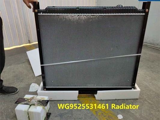 Máy sưởi WG9525531461 HOWO Truck Parts Intercooler