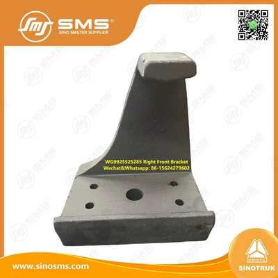 WG9925525285 Chỗ ngồi mùa xuân lá HOWO Chiếc xe tải
