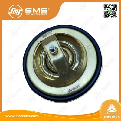 201V06402-6005 Nhiệt độ HOWO Chiếc xe tải